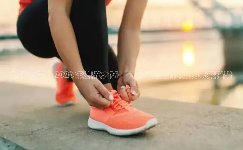 鲸鱼体育直播在线看